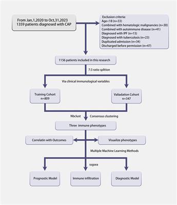 Machine learning-based derivation and validation of three immune phenotypes for risk stratification and prognosis in community-acquired pneumonia: a retrospective cohort study